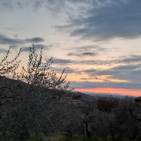 Villa La Piaggiola degli Olivi Panicale Esterno foto