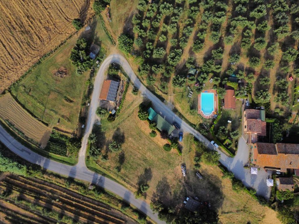 Villa La Piaggiola degli Olivi Panicale Esterno foto